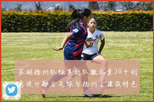 苏超扬州队征集新队徽元素30个创意设计融合足球与扬州古建筑特色